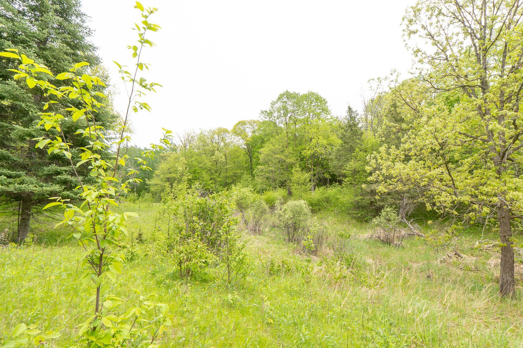 TBD Knopf Road, Rochert, Minnesota image 12
