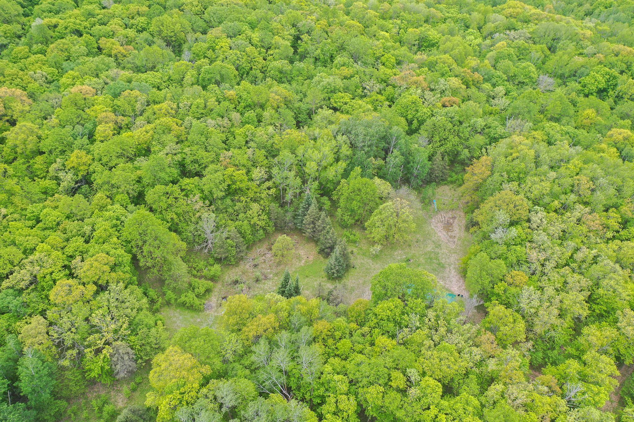 TBD Knopf Road, Rochert, Minnesota image 6