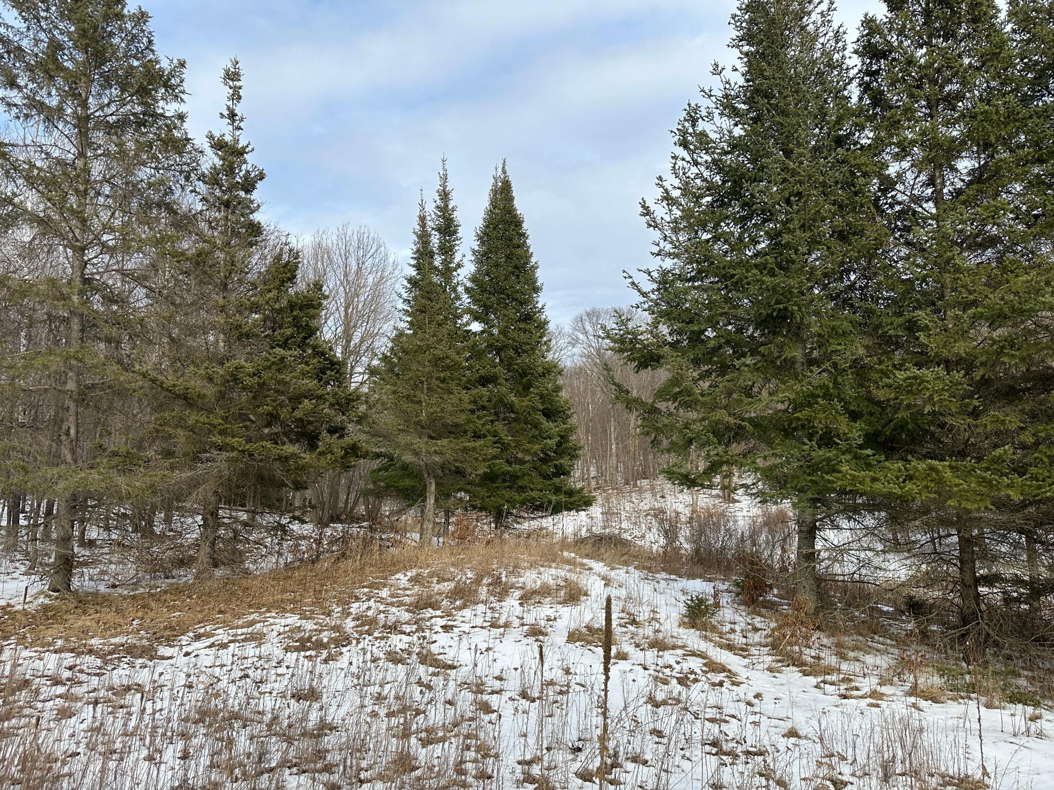 TBD Knopf Road, Rochert, Minnesota image 29