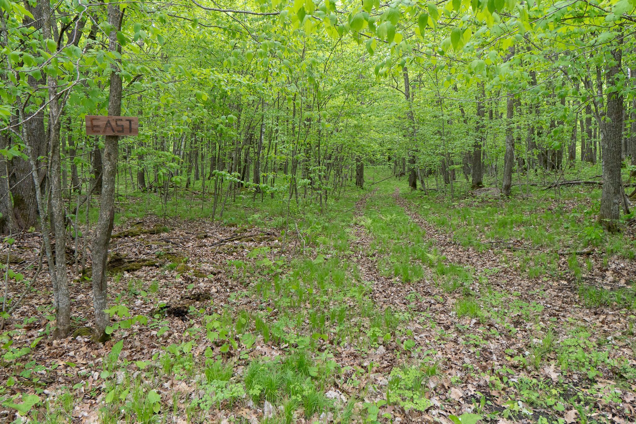 TBD Knopf Road, Rochert, Minnesota image 21