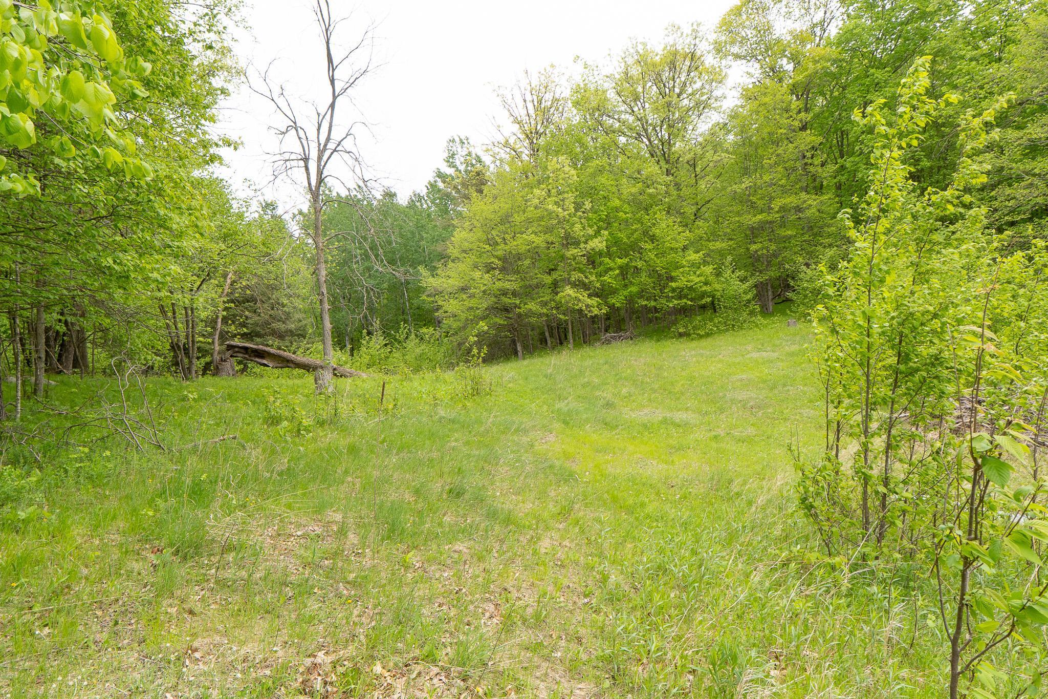 TBD Knopf Road, Rochert, Minnesota image 13