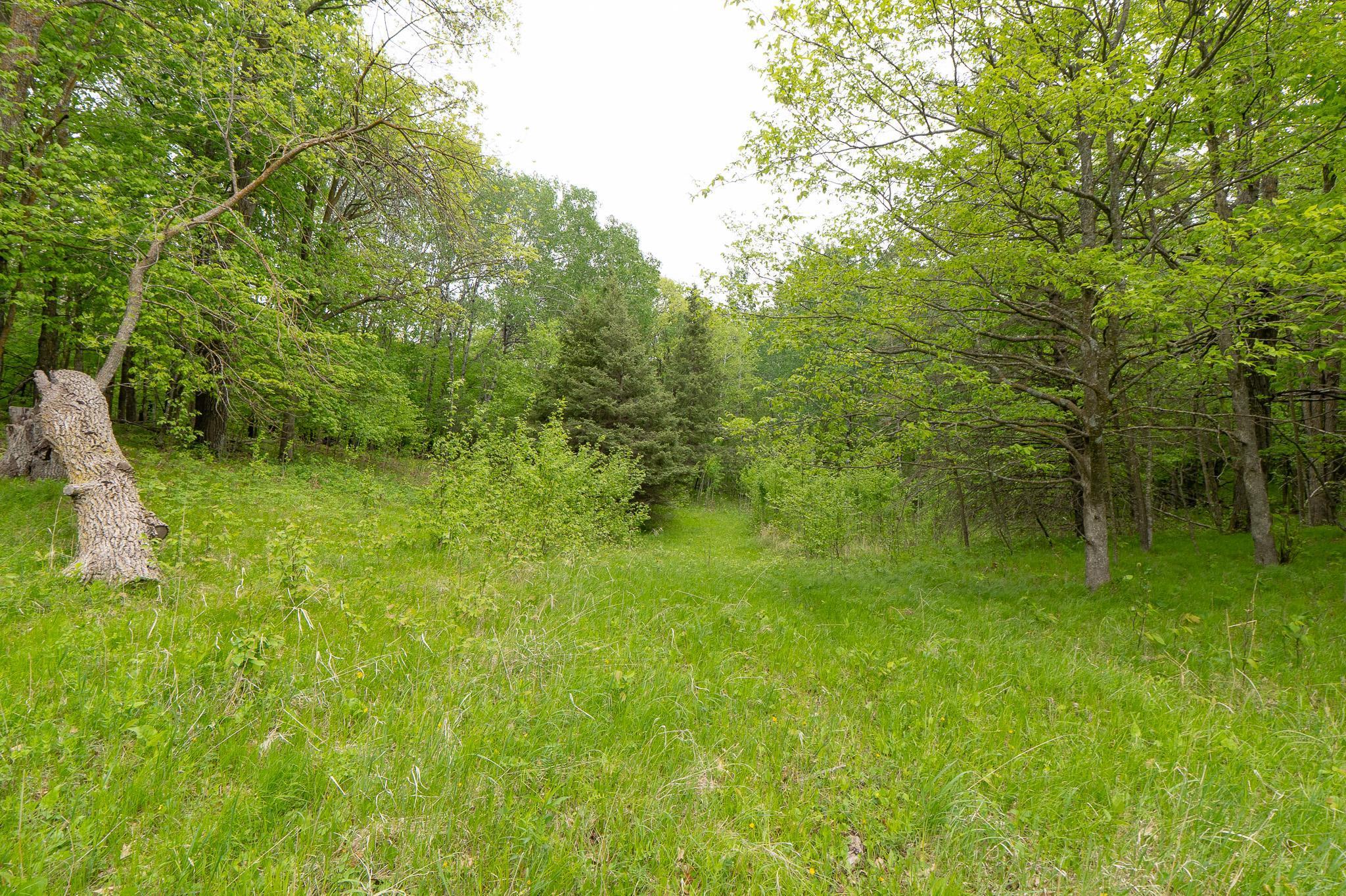 TBD Knopf Road, Rochert, Minnesota image 14
