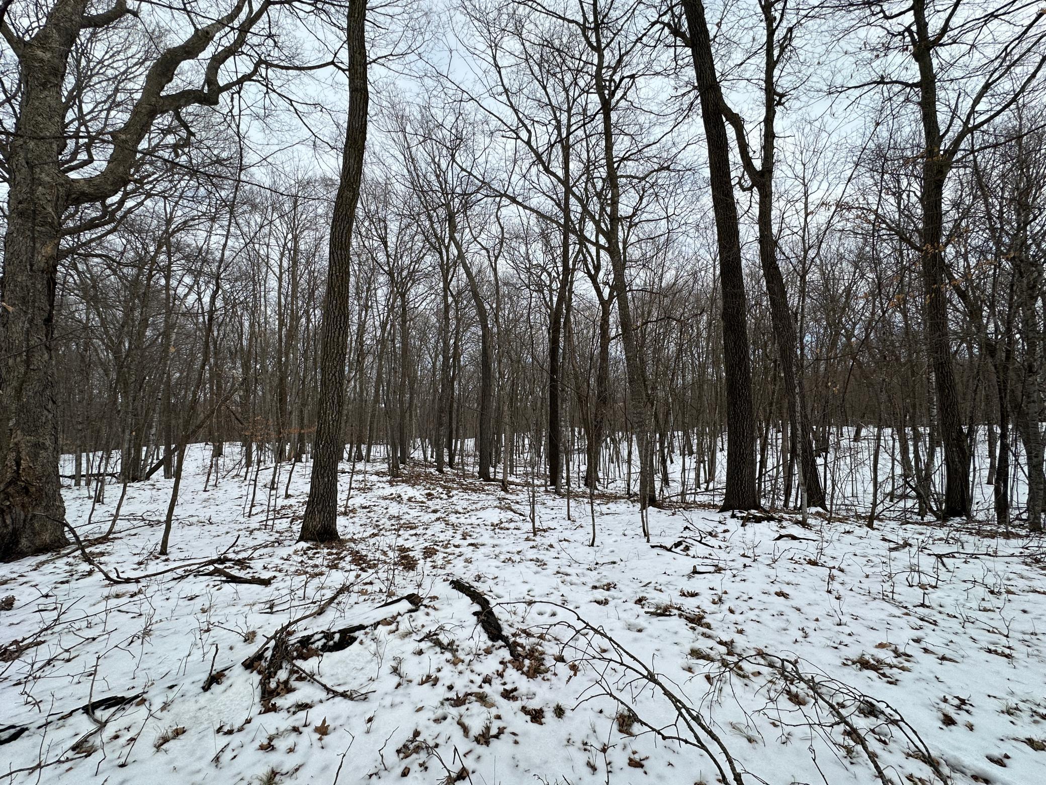 TBD Knopf Road, Rochert, Minnesota image 17