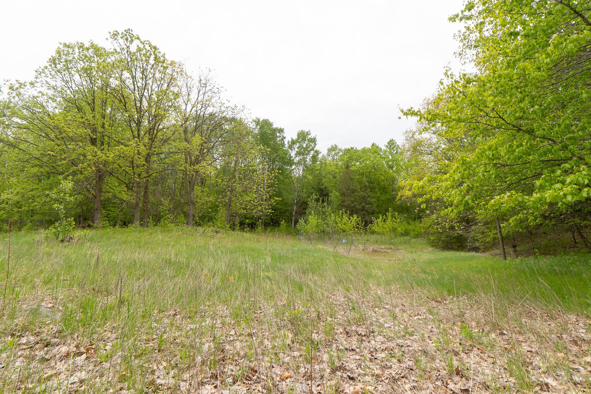TBD Knopf Road, Rochert, Minnesota image 7