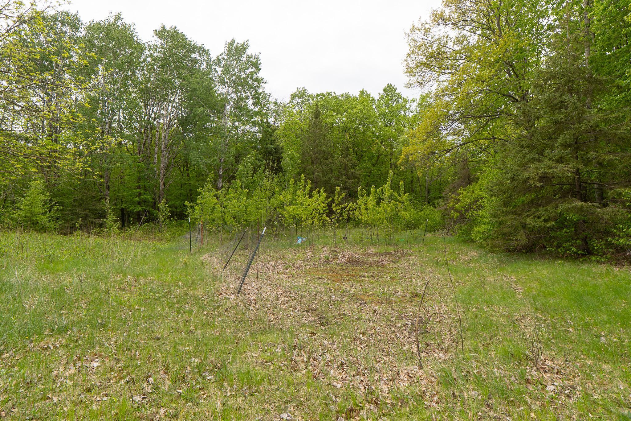TBD Knopf Road, Rochert, Minnesota image 8