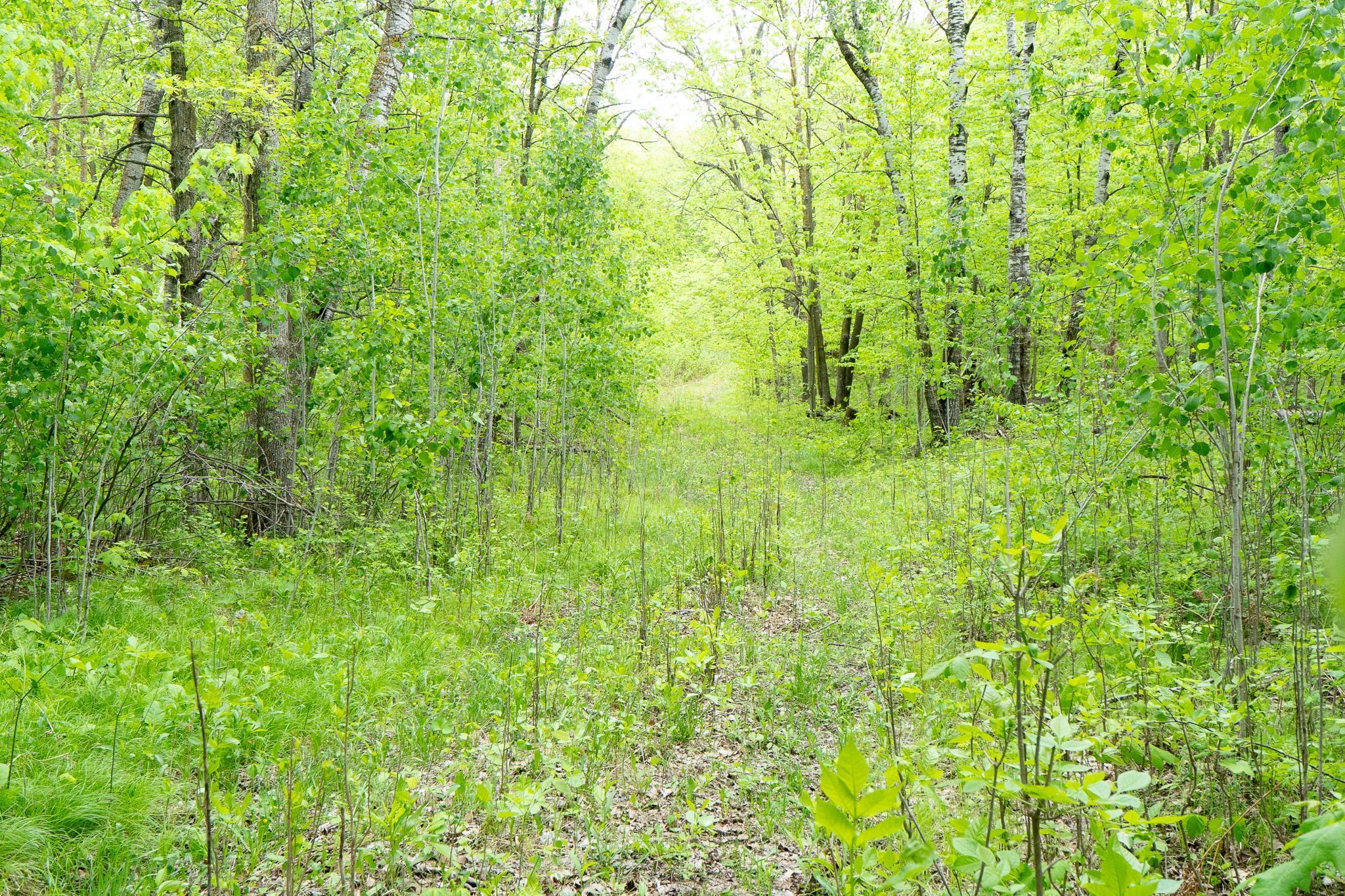 TBD Knopf Road, Rochert, Minnesota image 20