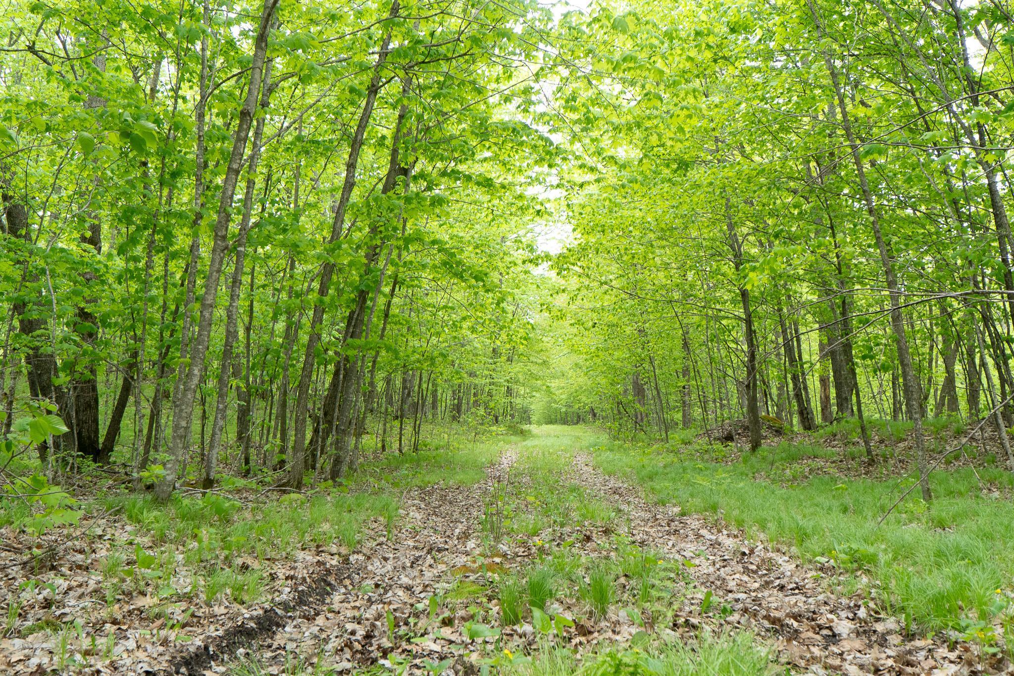 TBD Knopf Road, Rochert, Minnesota image 18