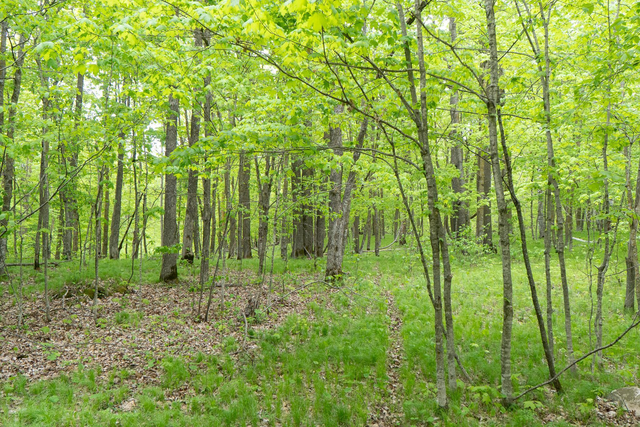 TBD Knopf Road, Rochert, Minnesota image 17