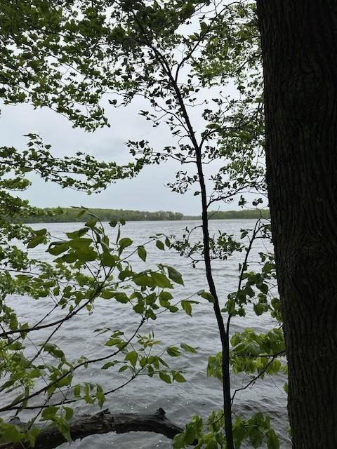 Lot 10 64th Street, Luck, Wisconsin image 16