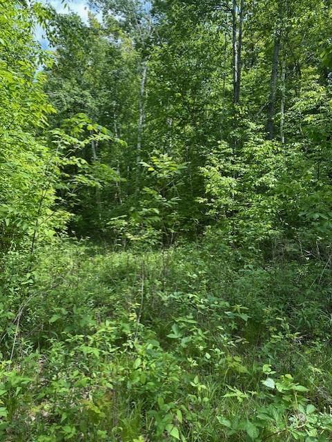 Lot 10 64th Street, Luck, Wisconsin image 30