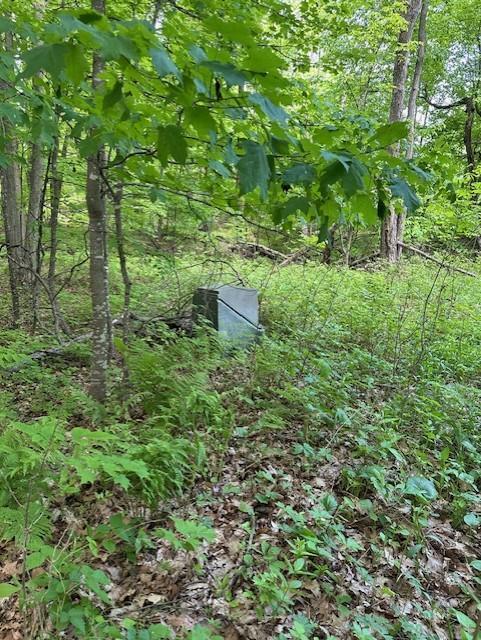Lot 10 64th Street, Luck, Wisconsin image 9