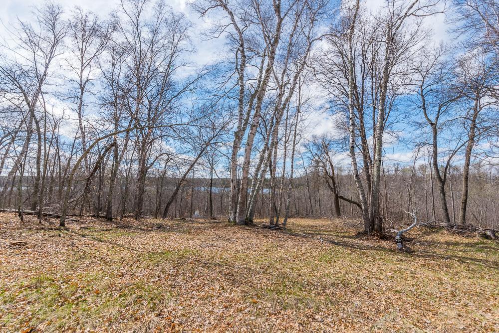 TBD - Lot 4 Hurtig Road, Pequot Lakes, Minnesota image 17