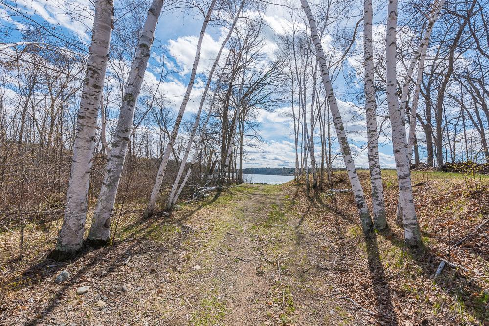 TBD - Lot 4 Hurtig Road, Pequot Lakes, Minnesota image 12