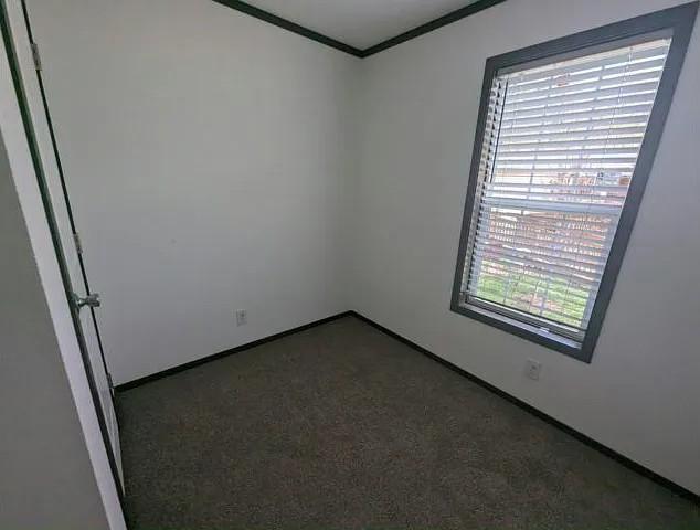 133 Maple Drive, Mankato, Minnesota image 5
