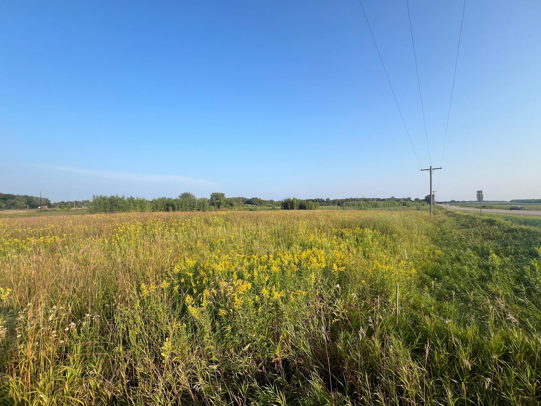 XXX Co Rd 7, Maple Lake, Minnesota image 9