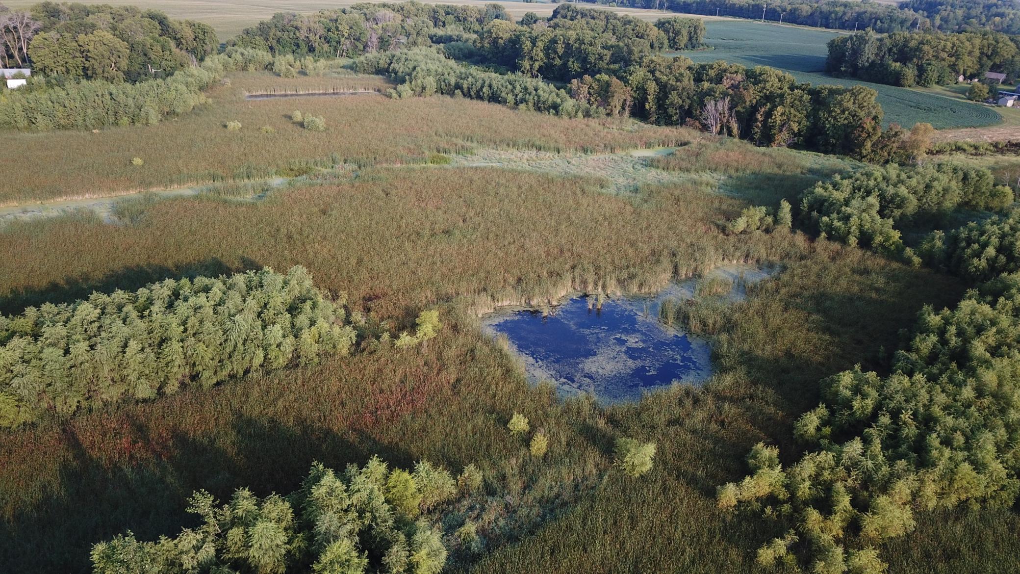 XXX Co Rd 7, Maple Lake, Minnesota image 8