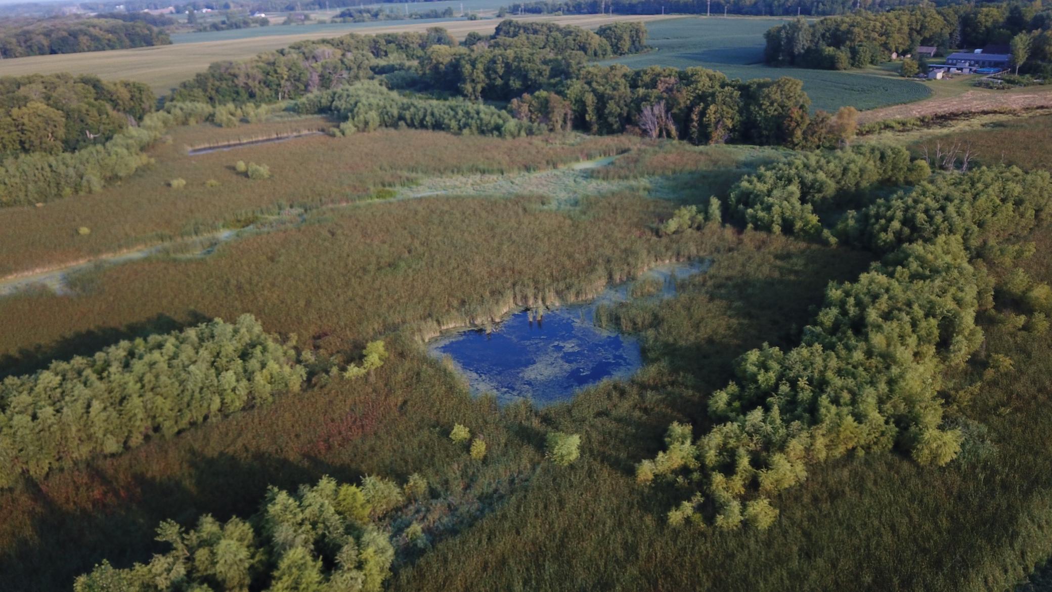 XXX Co Rd 7, Maple Lake, Minnesota image 4