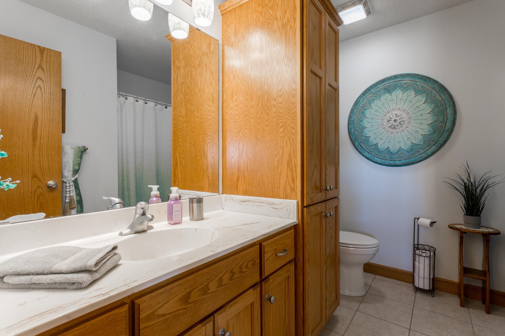26141 Jonquil Avenue, Elko New Market, Minnesota image 39