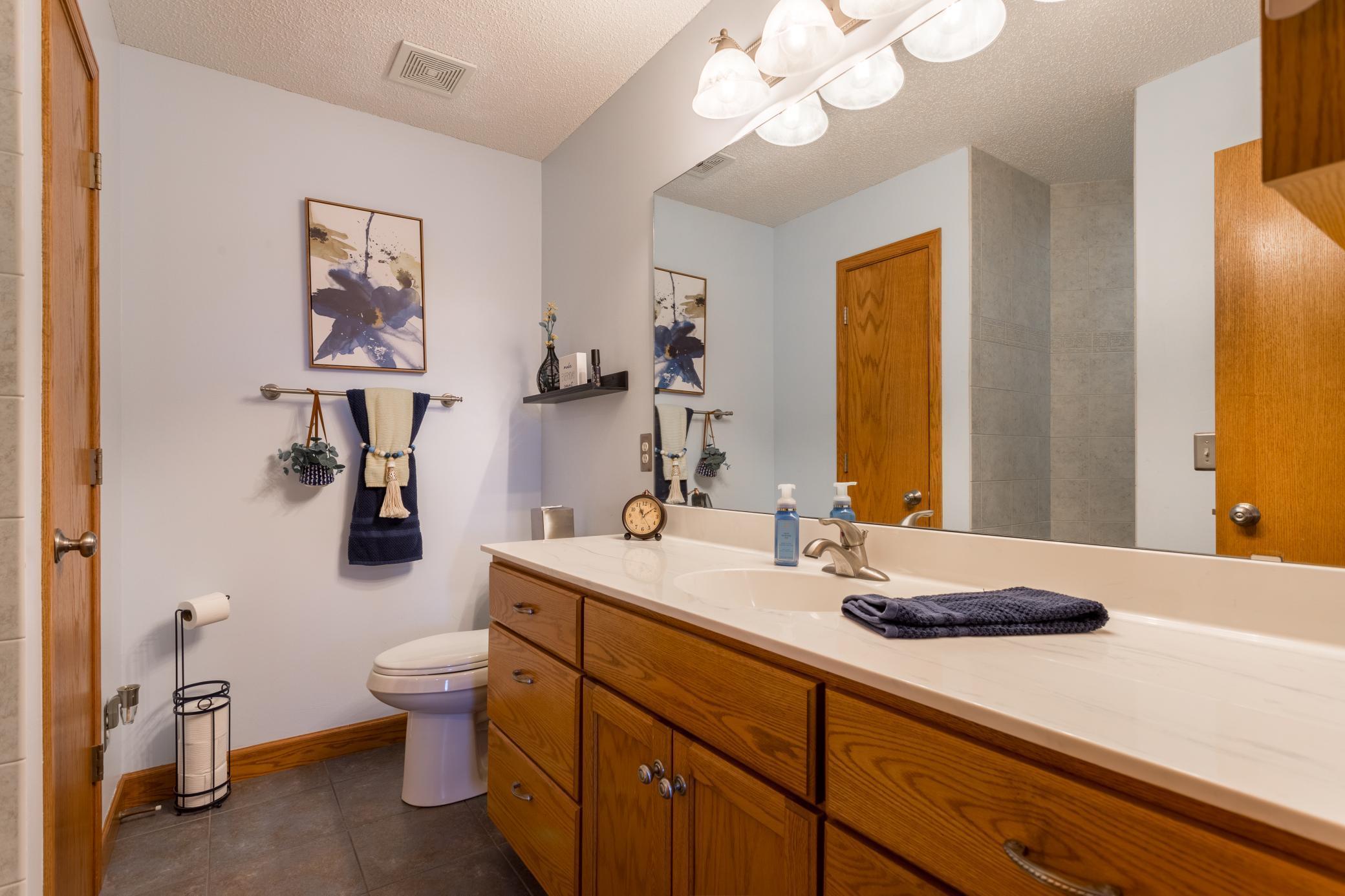 26141 Jonquil Avenue, Elko New Market, Minnesota image 34