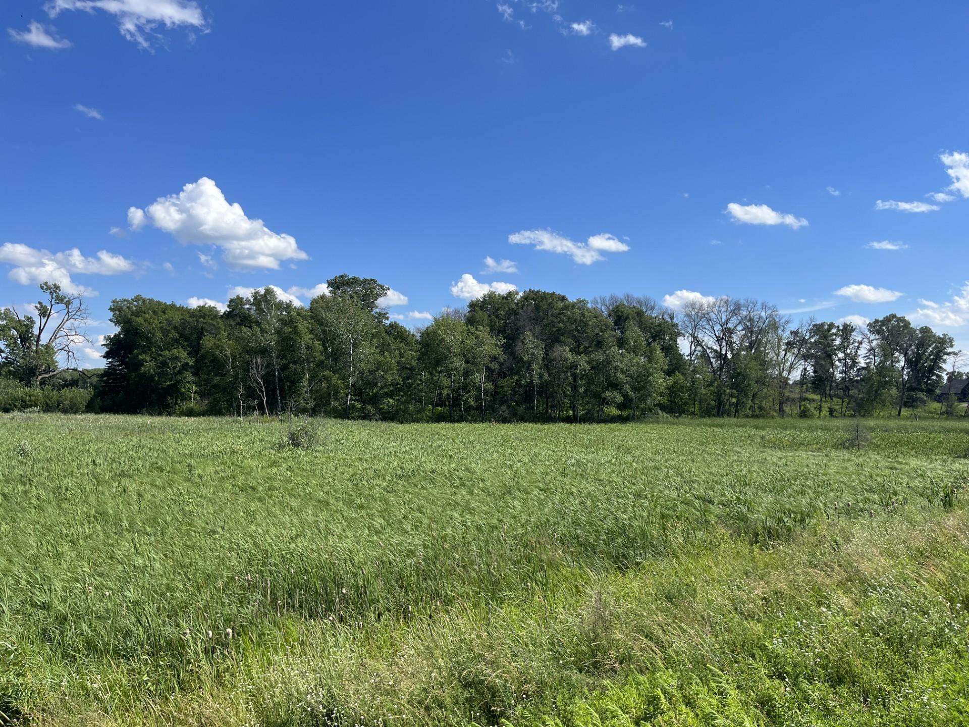 853 200th Avenue, Cedar, Minnesota image 3