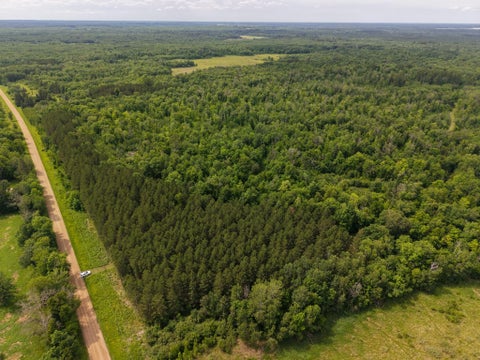 Vacant Land For Sale - 80 ACRES Pike Bay Loop Road<br/> Cass County, Cass Lake, MN 56633