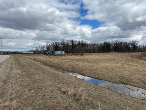 Vacant Land For Sale - TBD State Hwy 11<br/> Badger, MN 56714