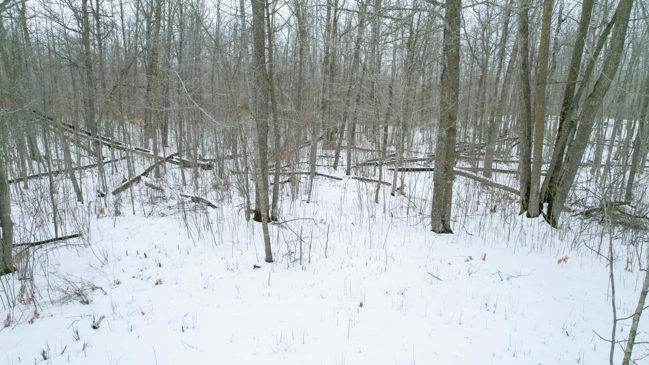 Parcel C Ticonderoga Trail, Hackensack, Minnesota image 2