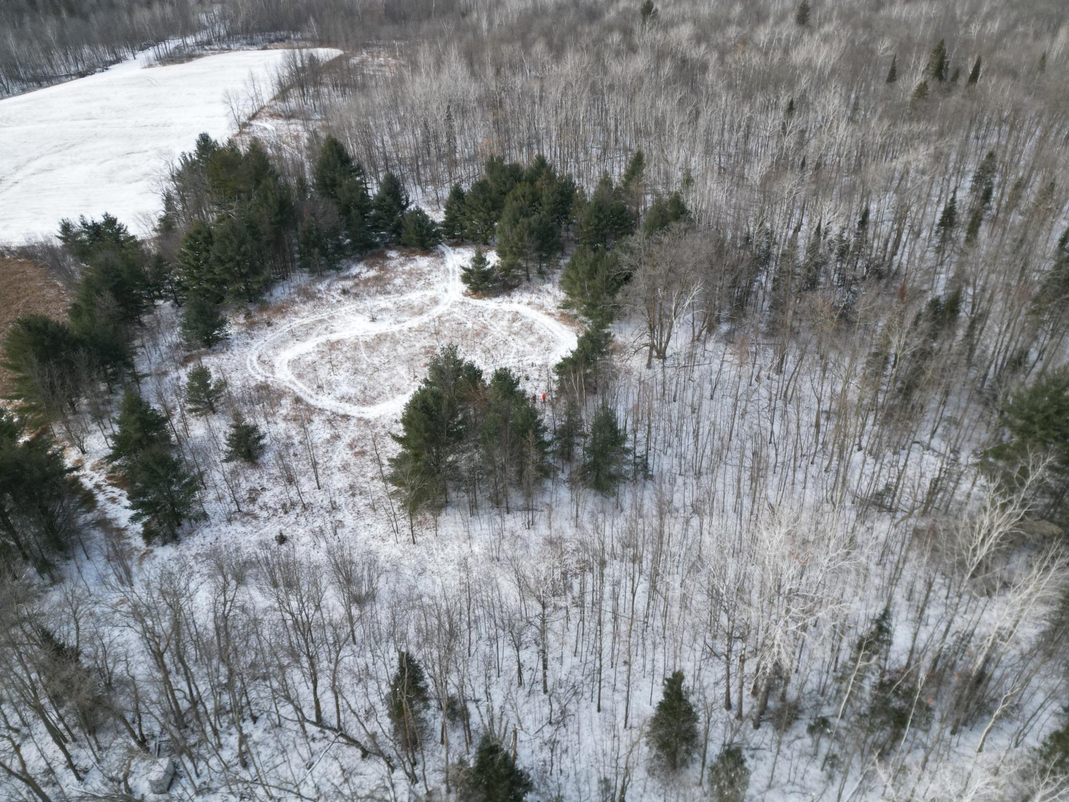 Parcel C Ticonderoga Trail, Hackensack, Minnesota image 14