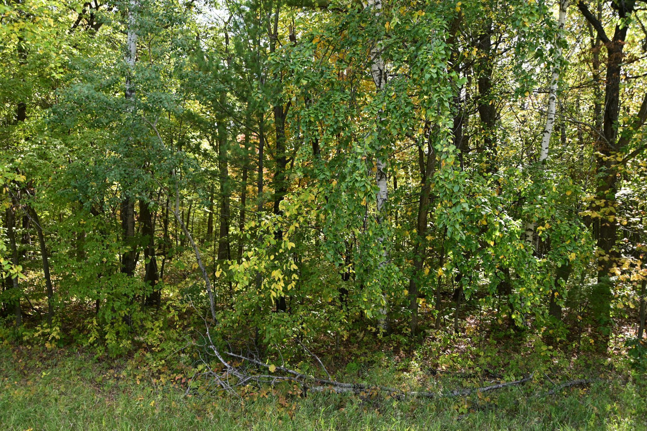 Xxx Penelope Loop, Browerville, Minnesota image 3