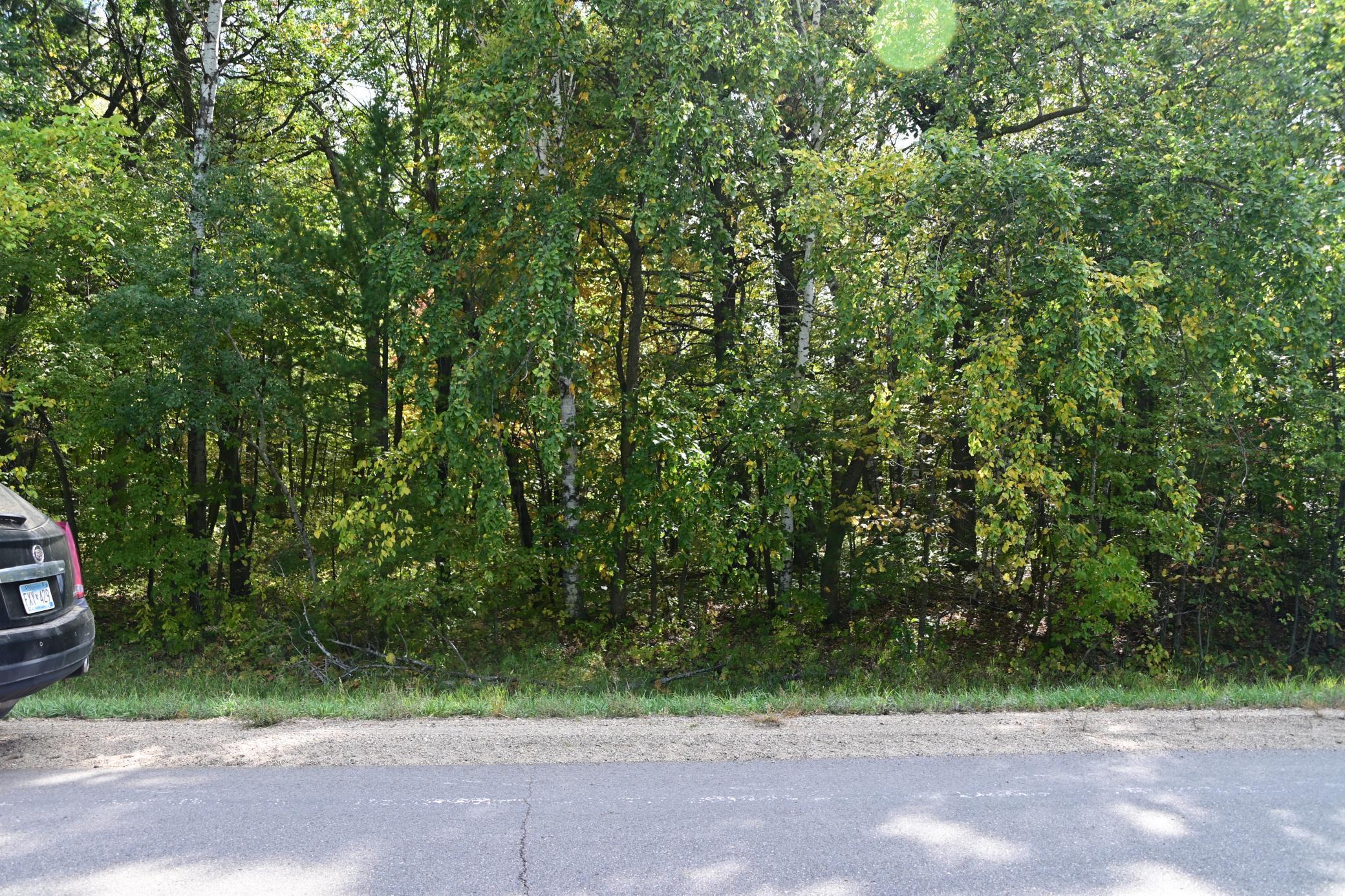 Xxx Penelope Loop, Browerville, Minnesota image 2