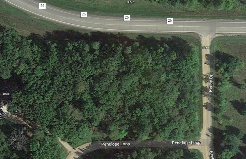 Xxx Penelope Loop, Browerville, Minnesota image 4