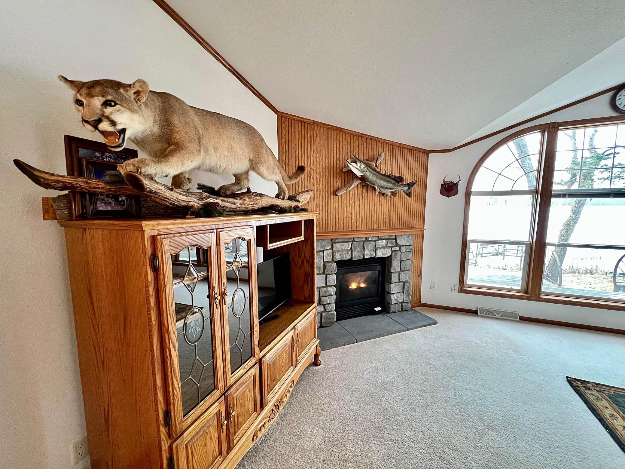 16515 N Mitchell Lake Road, Fifty Lakes, Minnesota image 13