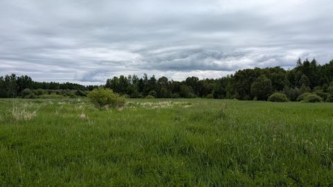 Vacant Land For Sale - 10211 Leander Road<br/> Saint Louis County, Angora, MN 55703