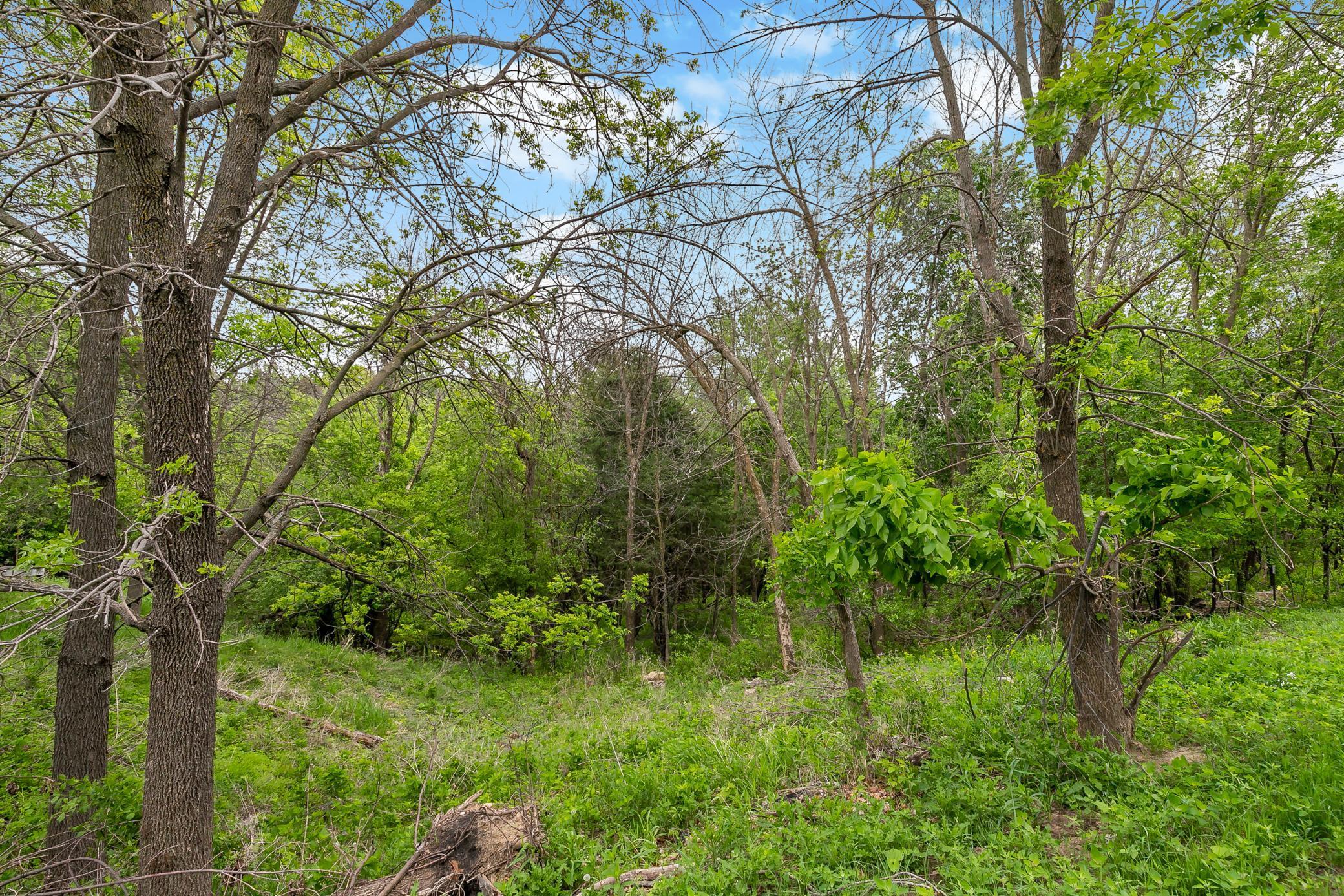 6591 Galpin Boulevard, Chanhassen, Minnesota image 18