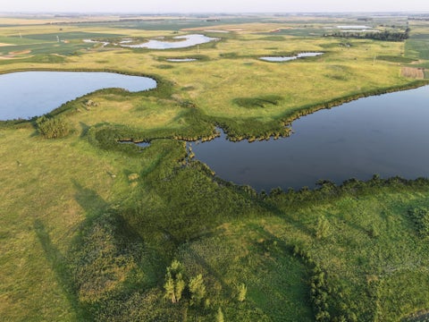 Vacant Land For Sale - TBD 47th St Se 123rd Ave Se And 124th Ave Se<br/> Fingal, ND 58031