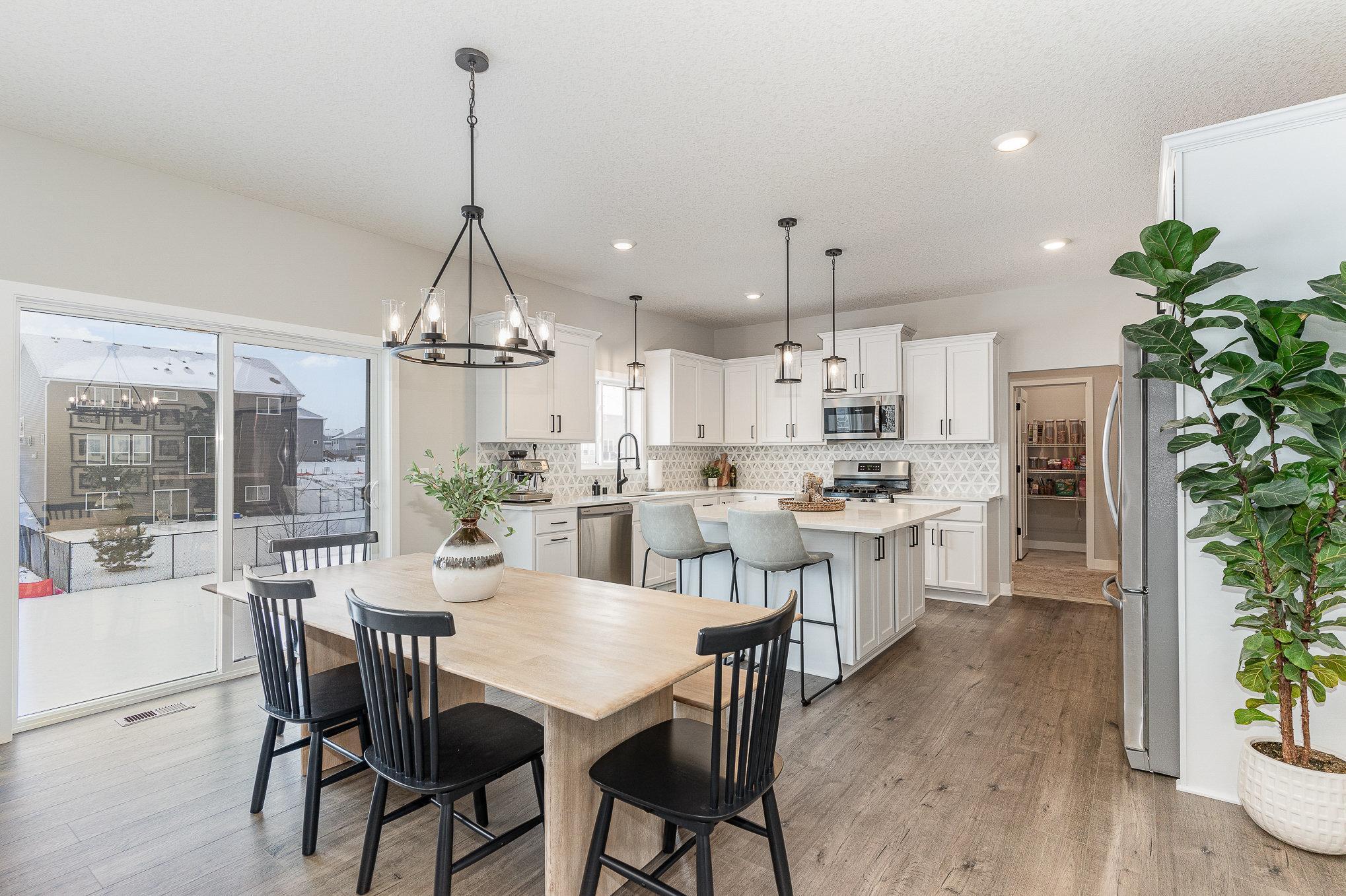 1390 142nd Street, Rosemount, Minnesota image 3