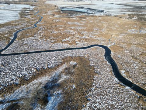 Vacant Land For Sale - - Lake Andrew Township<br/> New London, MN 56273