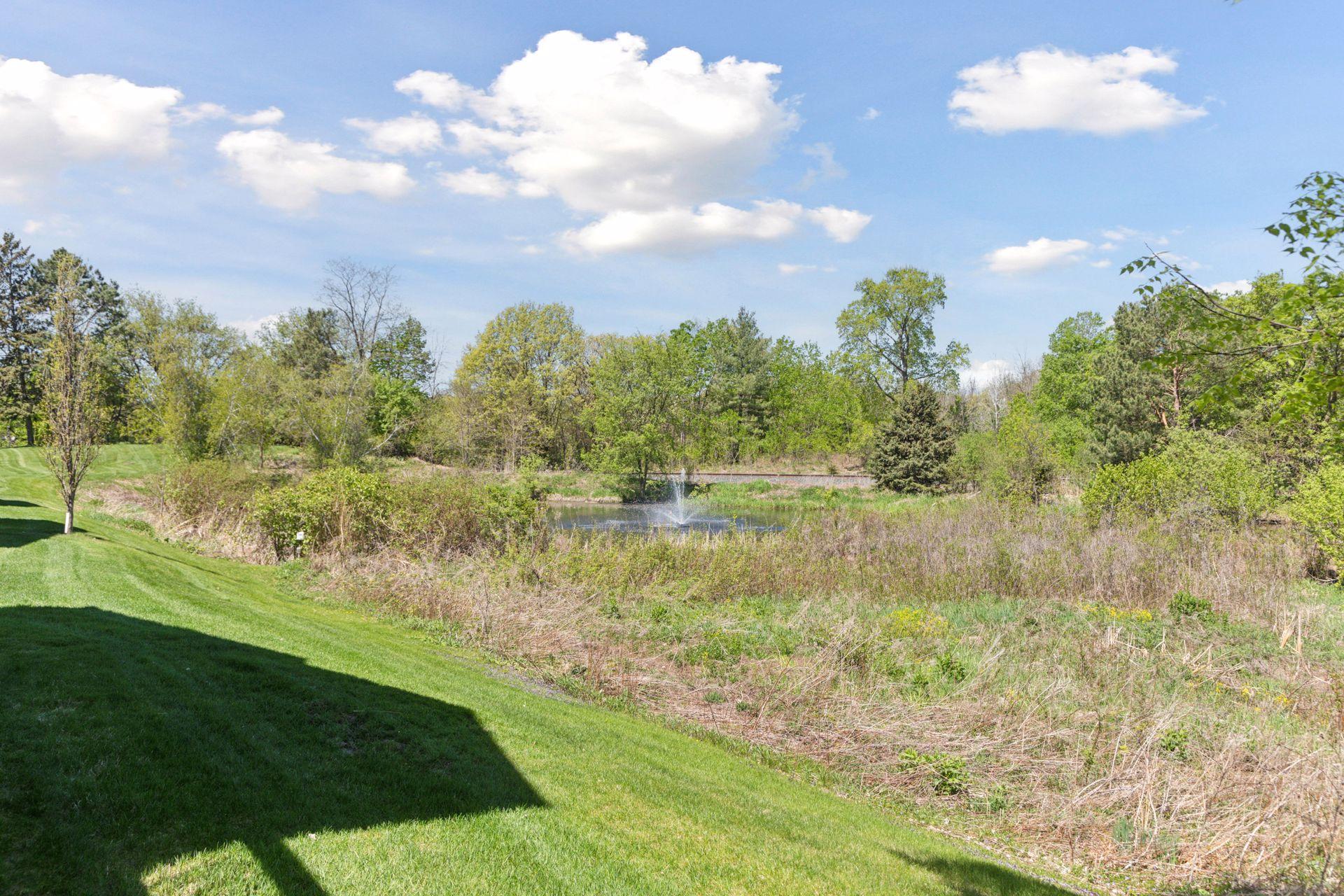 1127 Iris Drive, Saint Paul, Minnesota image 44