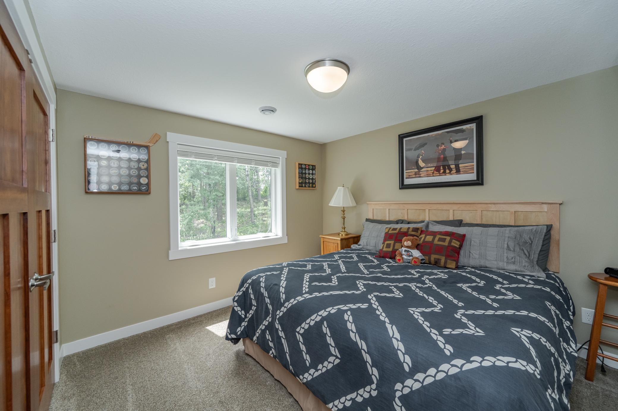 1658 Echo Ridge Street, Rochester, Minnesota image 22