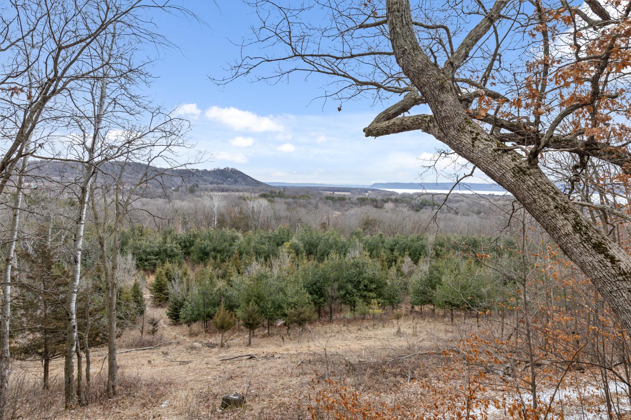 Cottonwood Lane, Pepin, Wisconsin image 35