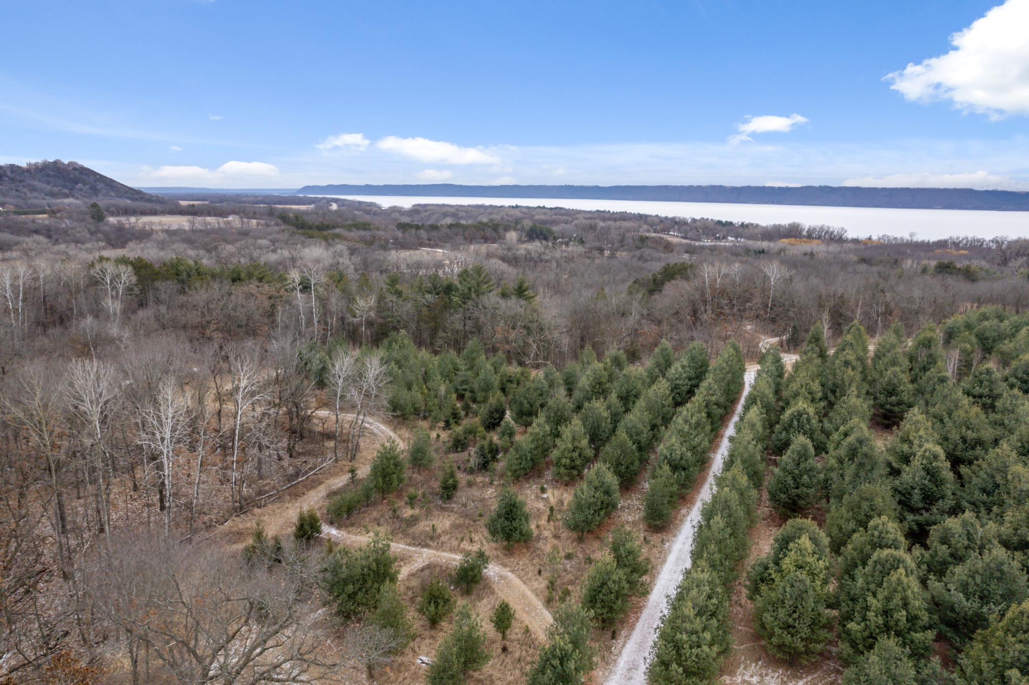 Cottonwood Lane, Pepin, Wisconsin image 19