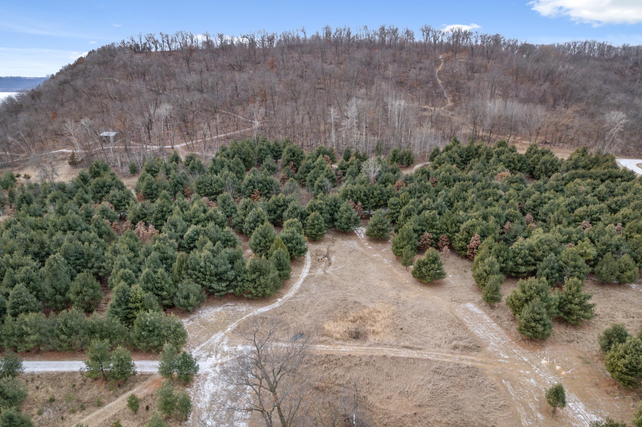 Cottonwood Lane, Pepin, Wisconsin image 12