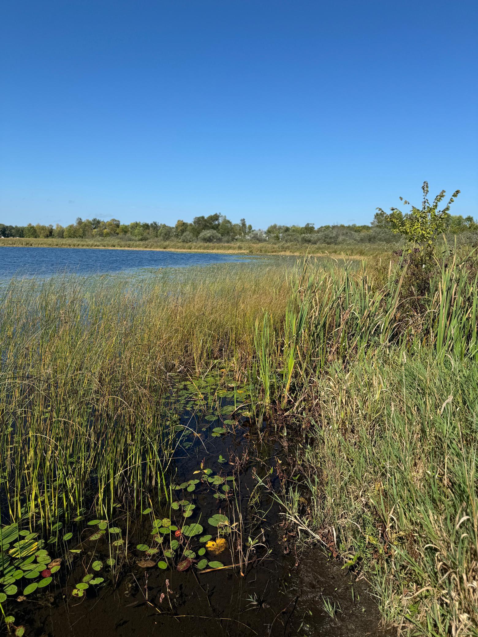 22535 Cedar Lake Drive, Aitkin, Minnesota image 4