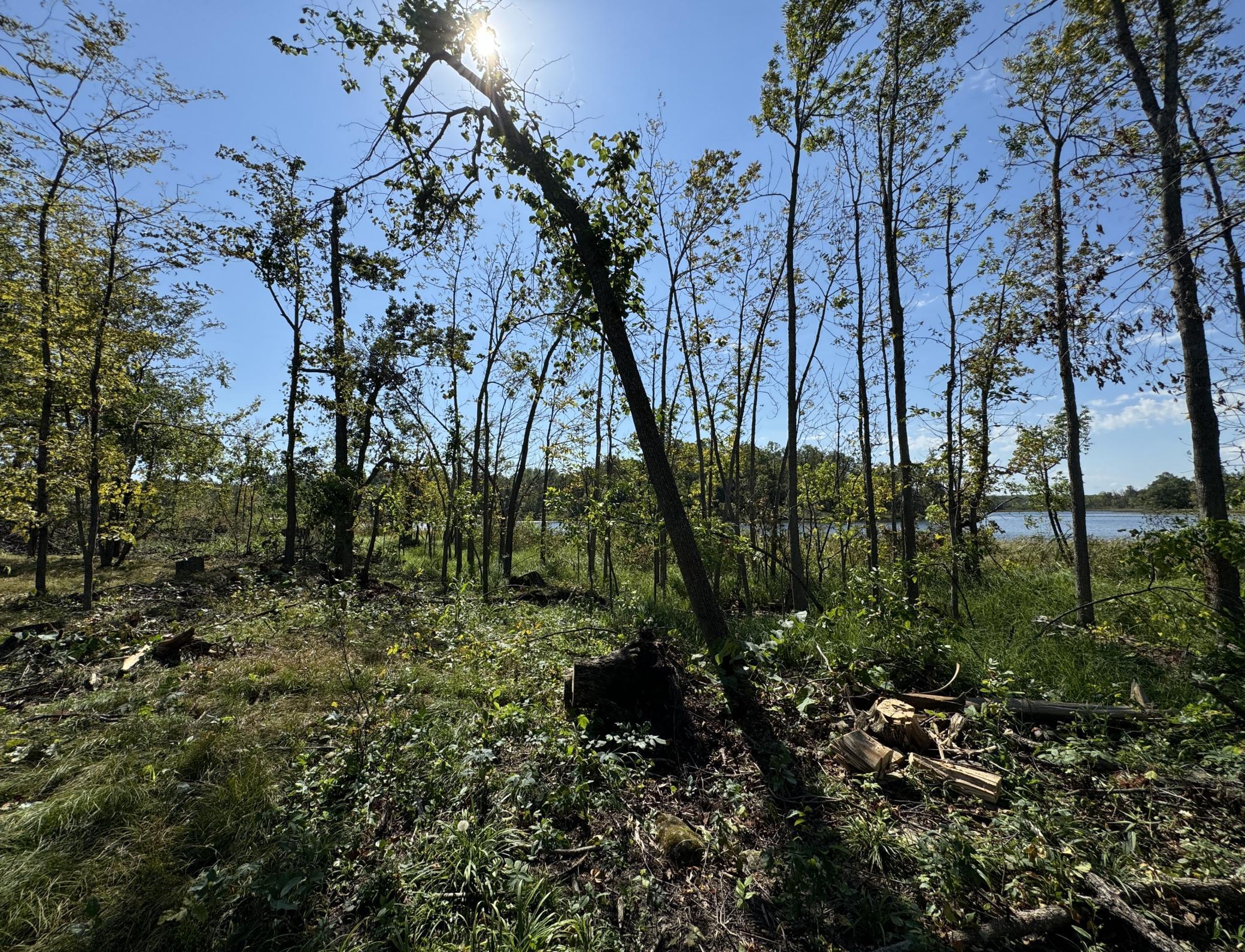 22535 Cedar Lake Drive, Aitkin, Minnesota image 30