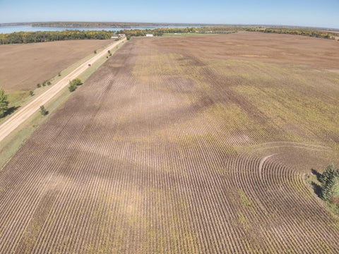 Vacant Land For Sale - XXXXX 402nd Ave Tract B<br/> Otter Tail County, Clitherall, MN 56524