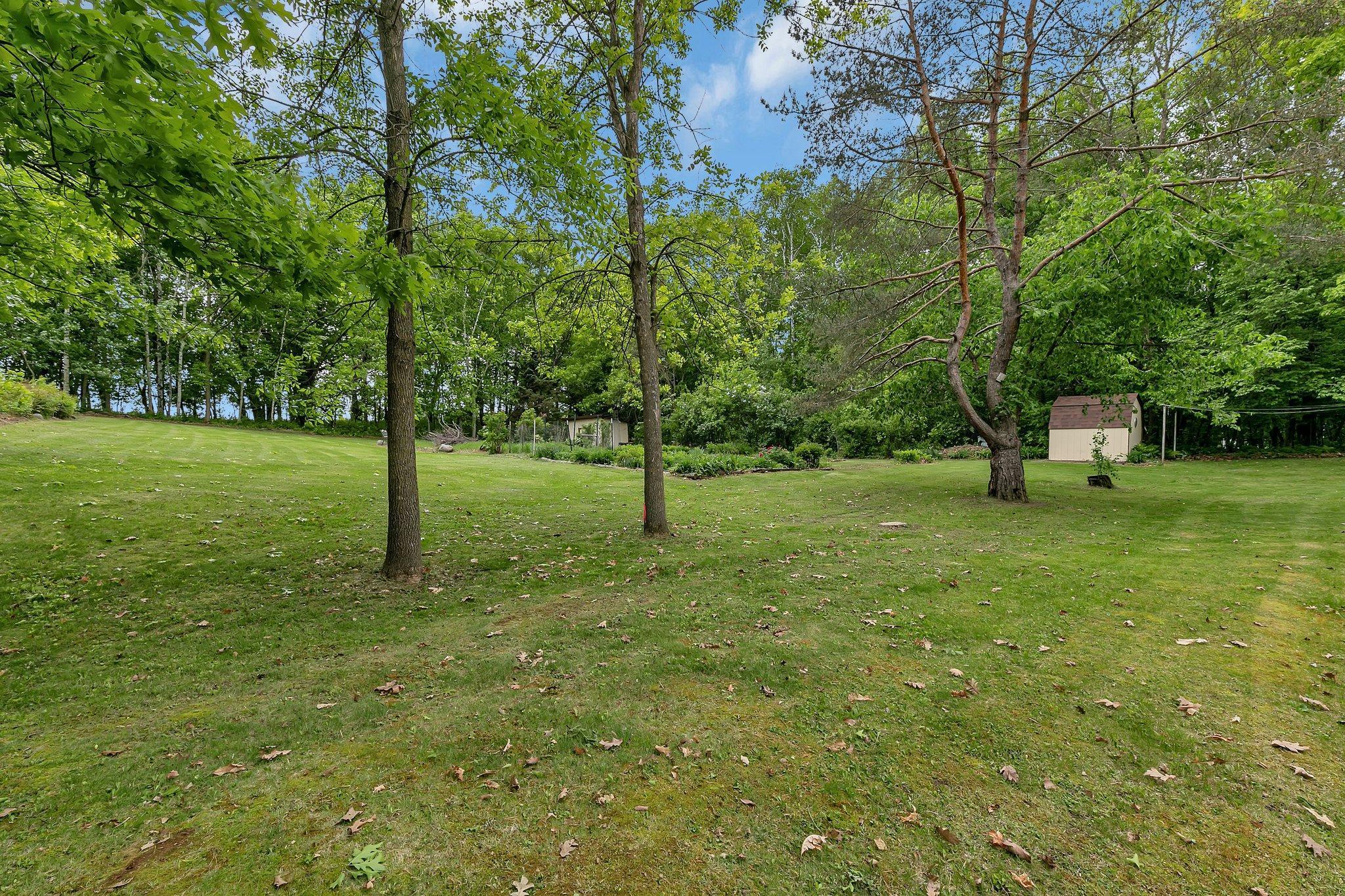 15281 331st Street, Avon, Minnesota image 4
