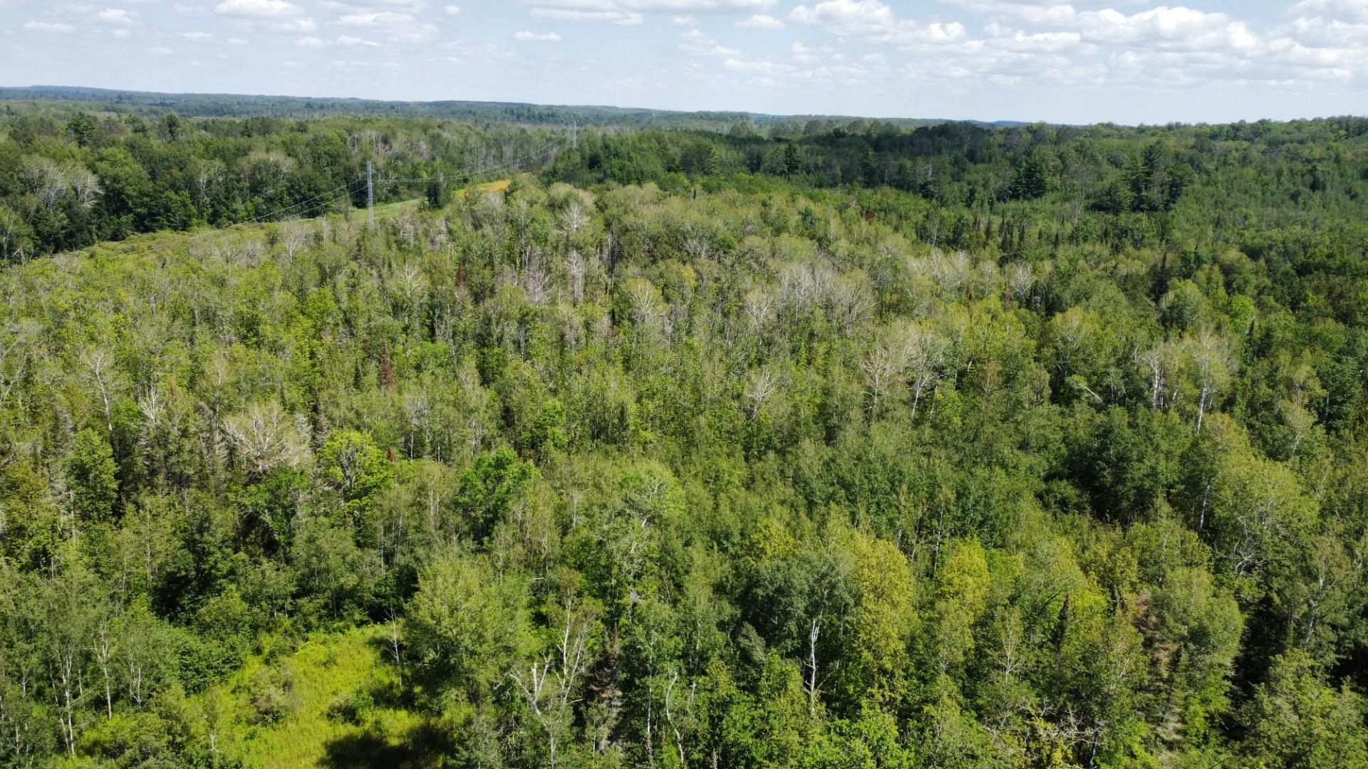 59164 240th Avenue, Jacobson, Minnesota image 12