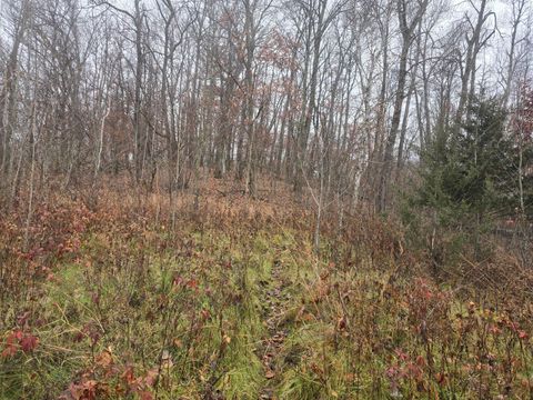 Vacant Land For Sale - XXXX 244th St N<br/> Scandia, MN 55073