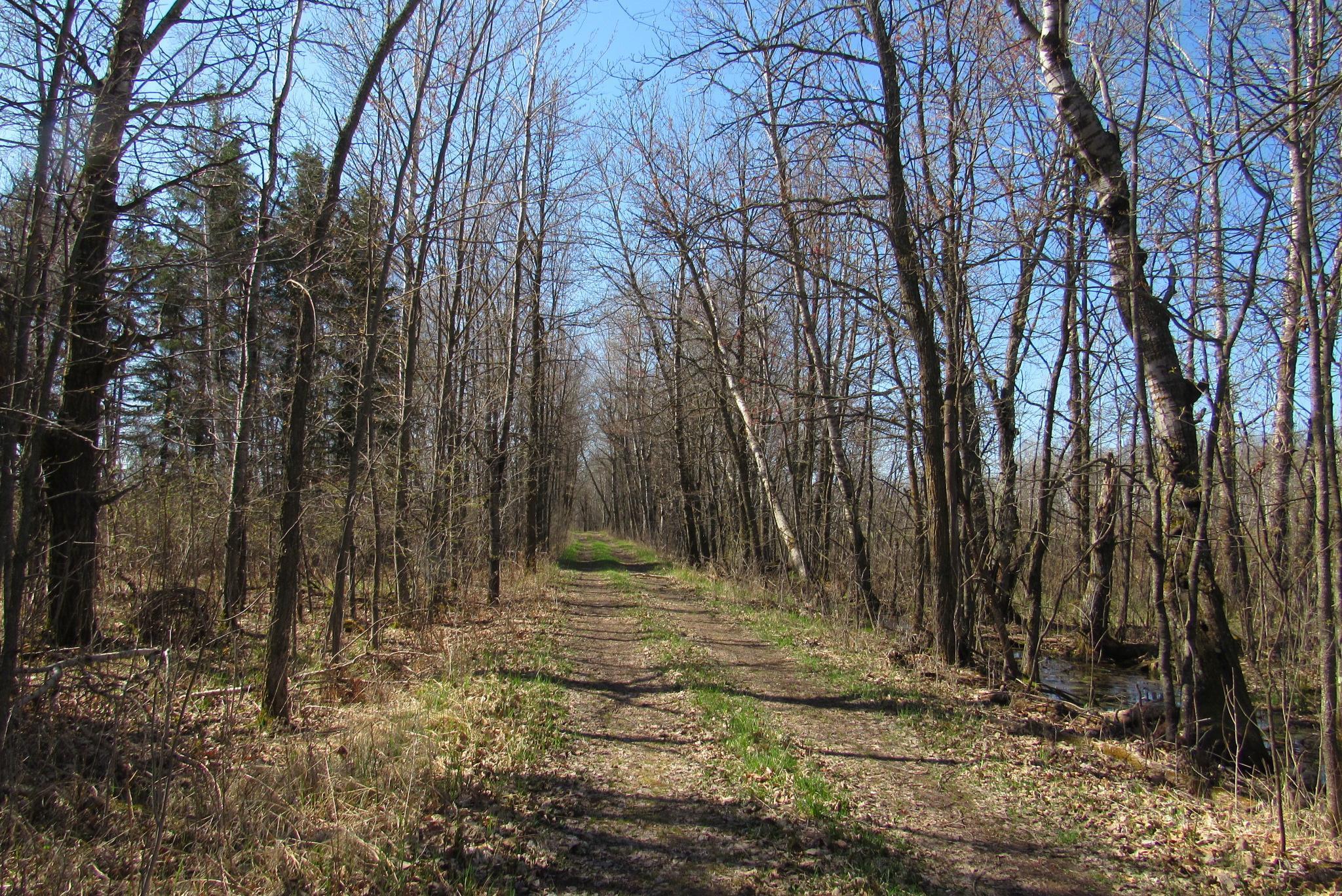 12500 County Road 41, Willow River, Minnesota image 18