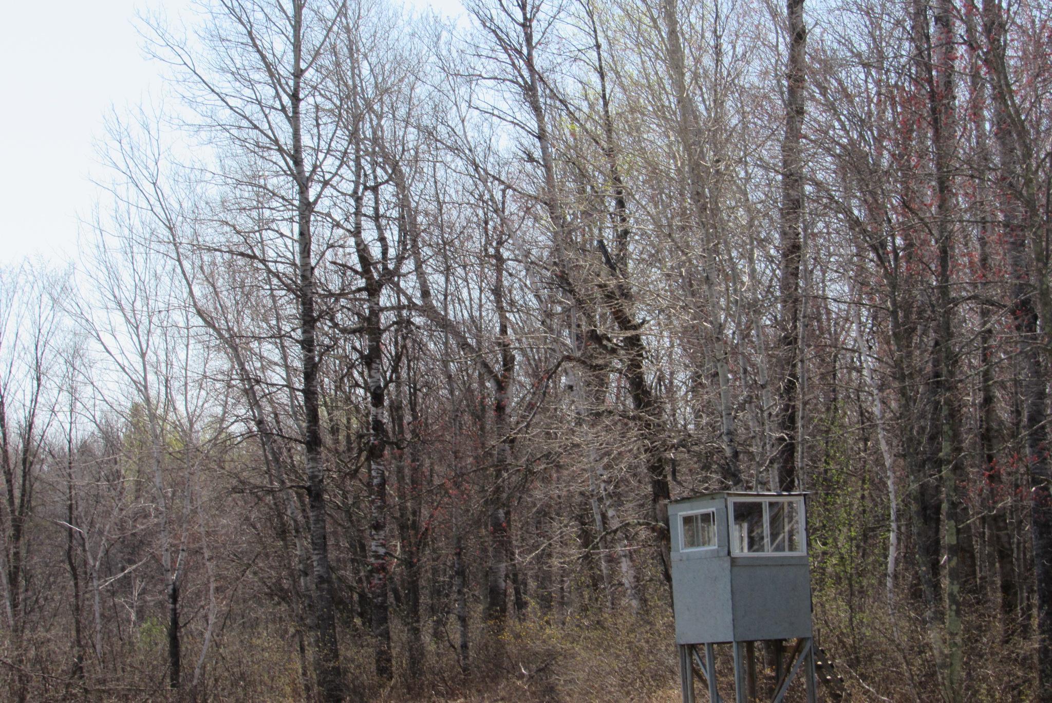 12500 County Road 41, Willow River, Minnesota image 32